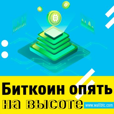 Отчет: Bitcoin работает лучше, чем все классы активов