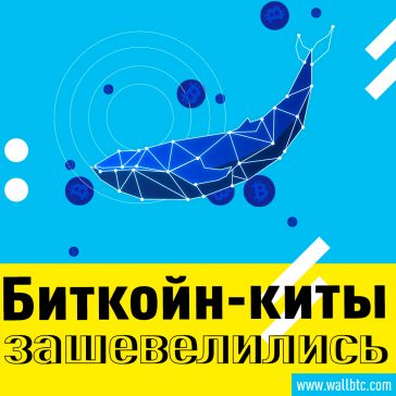 Bitcoin: крупнейшая сделка за всю историю