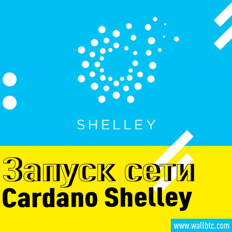 Milestone: сеть Cardano Shelley выходит в эфир