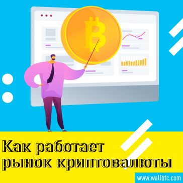 Как работает рынок криптовалюты