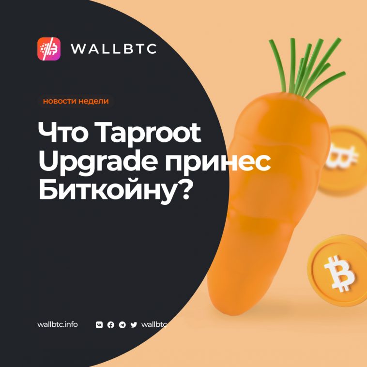 Что такое обновление Bitcoin Taproot Upgrade